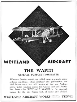 Wapiti: Westland Wapiti