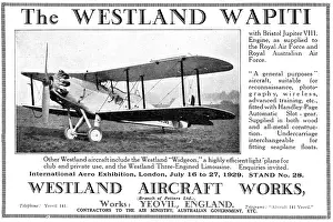 Wapiti: Westland Wapiti