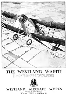 Wapiti: Westland Wapiti