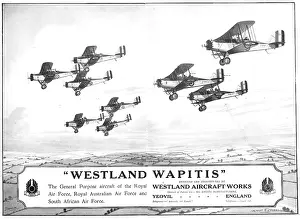 Wapiti: Westland Wapiti