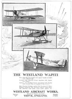 Wapiti: Westland Wapiti J9385