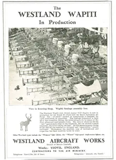 Wapiti: Westland Wapiti In Production