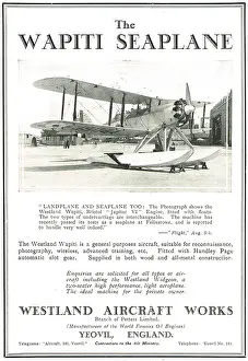 Wapiti: Westland Wapiti Seaplane