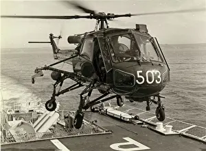 Has1: Westland Wasp HAS1 XT421