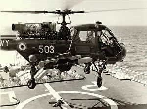 Has1: Westland Wasp HAS1 XT421