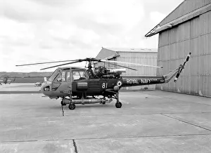 Culdrose: Westland Wasp HAS.1 XT436