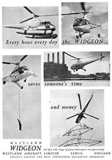 Widgeon: Westland Widgeon