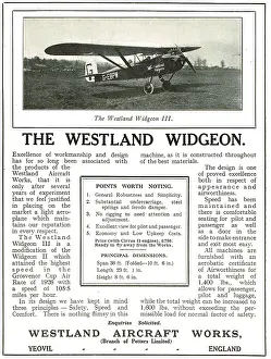 Widgeon: Westland Widgeon