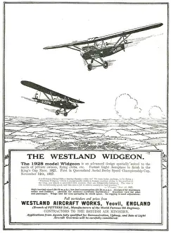 Widgeon: Westland Widgeon
