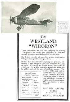 Widgeon: Westland Widgeon G-EBJT