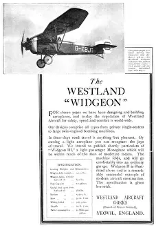 Widgeon: Westland Widgeon G-EBJT