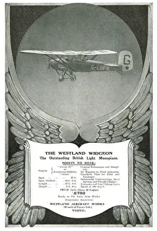Options: Westland Widgeon G-EBPW Specification & Options