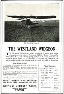 Genet: Westland Widgeon (Genet)