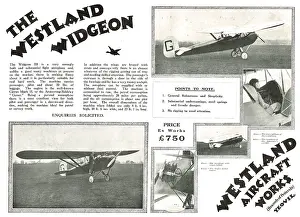Widgeon: Westland Widgeon III