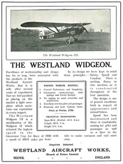 Noting: Westland Widgeon III Points Worth Noting