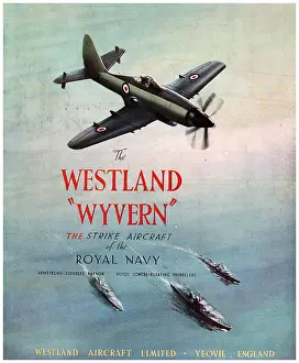 Wyvern: Westland Wyvern