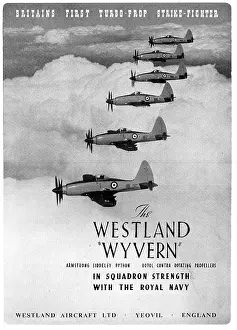 Wyvern: Westland Wyvern