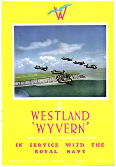 Wyvern: Westland Wyvern