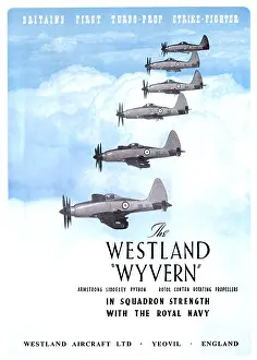 Wyvern: Westland Wyvern