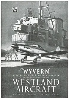 Wyvern: Westland Wyvern
