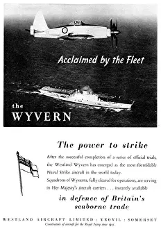 Wyvern: Westland Wyvern