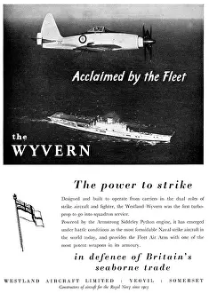 Wyvern: Westland Wyvern