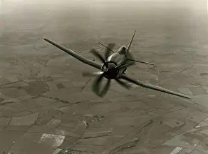 Wyvern: Westland Wyvern