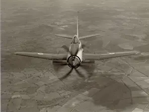 Wyvern: Westland Wyvern