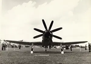 Wyvern: Westland Wyvern