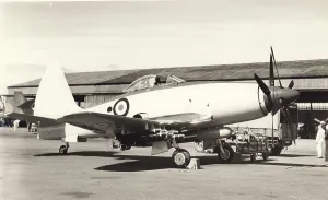 Wyvern: Westland Wyvern