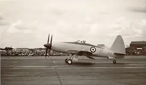Wyvern: Westland Wyvern prototype