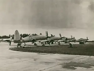 Wyvern: Westland Wyvern S4s