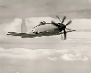 Wyvern: Westland Wyvern TF2 in flight