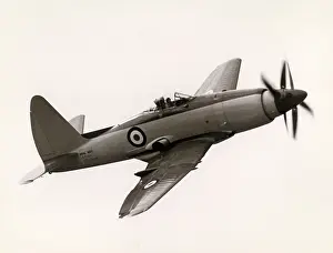 Wyvern: Westland Wyvern TF2, VP109