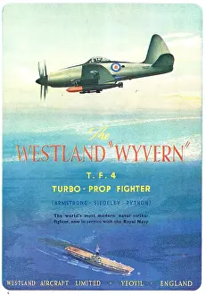 Wyvern: Westland Wyvern T.F.4