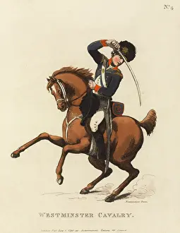 The National Army Museum: Westminster Cavalry