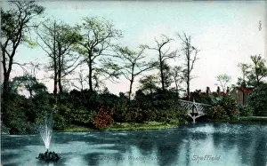 Weston: Weston Park, Sheffield, Yorkshire
