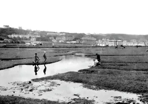 Westward: Westward Ho!, 1919