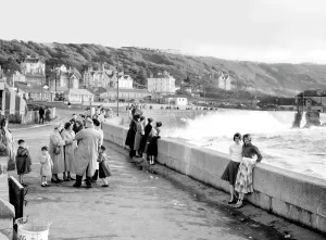 Westward: Westward Ho!, High Seas c1955
