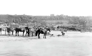 Westward: Westward Ho!, the Sands c1955