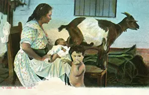 Suckle: Wet nurse feeds baby using a goat