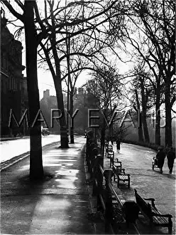 Puddles: WET WEATHER