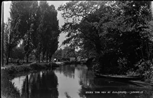 Guildford: The Wey at Guildford