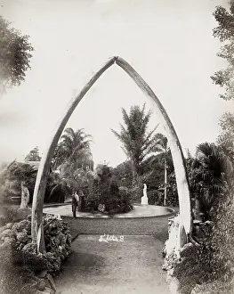 Brisbane: Whale bone arch, Botanical Gardens, Brisbane, Australia