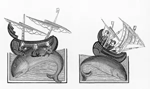 Disembark: Whale Island