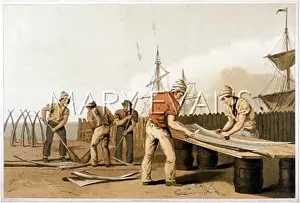 Scrapers: WHALEBONE SCRAPERS/1820S