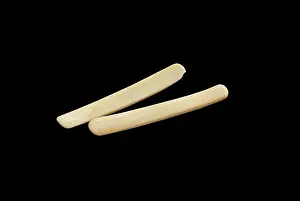 Whalebone: Whalebones