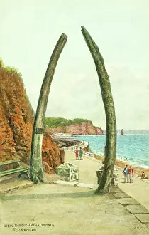 Whalebone: Whalebones at Teignmouth, Devon
