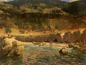 Seashores: Whaler's Cove, Point Lobos
