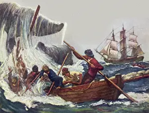 Pursue: Whalers in Pursuit